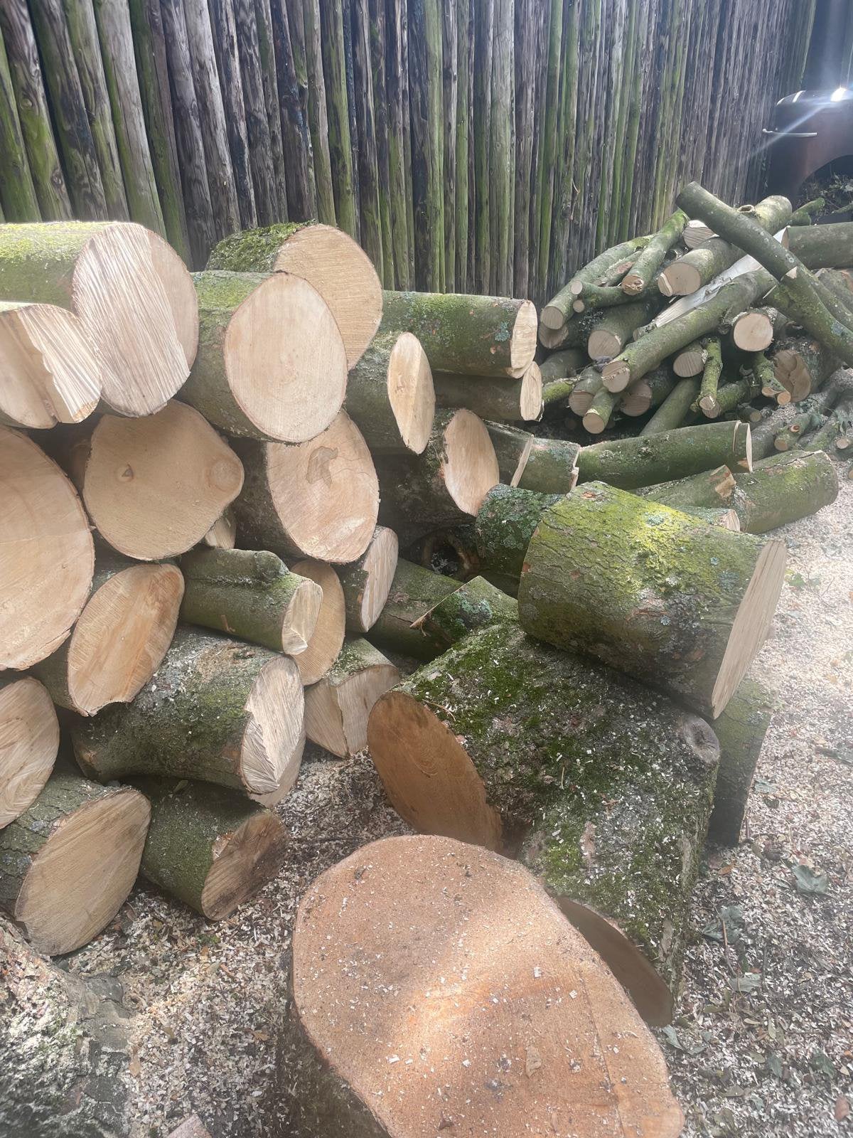 Hout van een Esdoorn te koop ophalen., Tuin en Terras, Haardhout, 3 tot 6 m³, Ophalen, Essenhout, Stammen