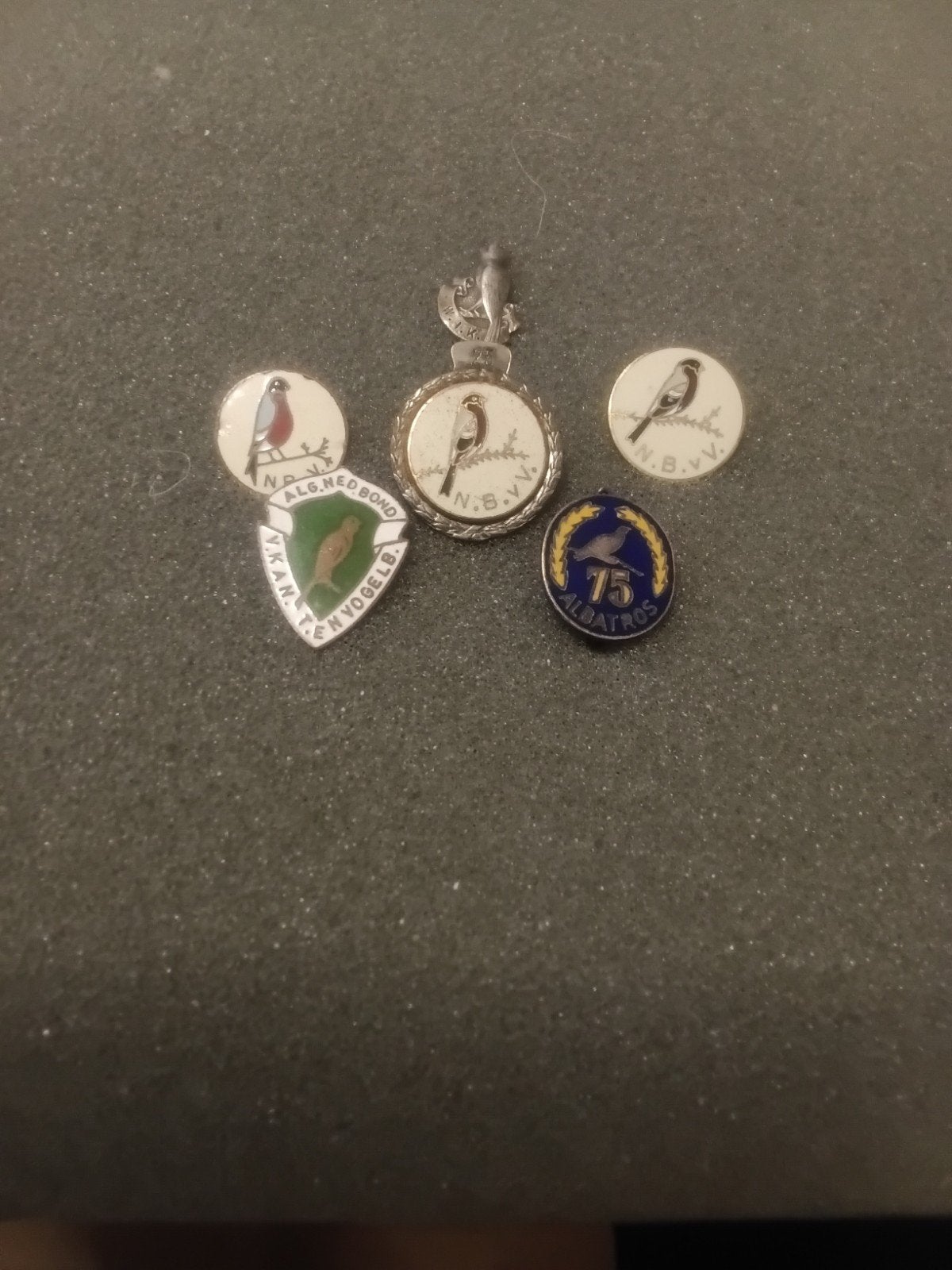 Diverse speldjes van vogels en verenigingen van vogels, Verzamelen, Ophalen of Verzenden