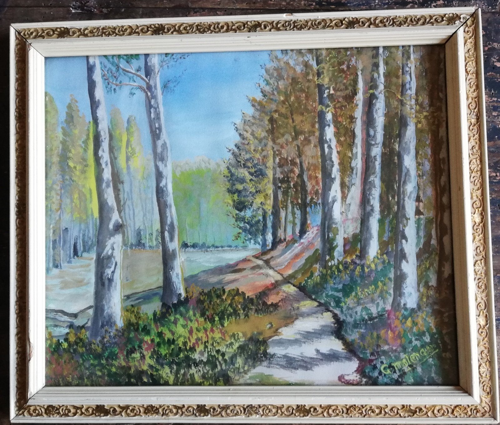 C. Molenaar, Berkenbos. Ca 1900. 39/33 cm., Antiek en Kunst, Ophalen, Gouache, Oud hollands, Landschap