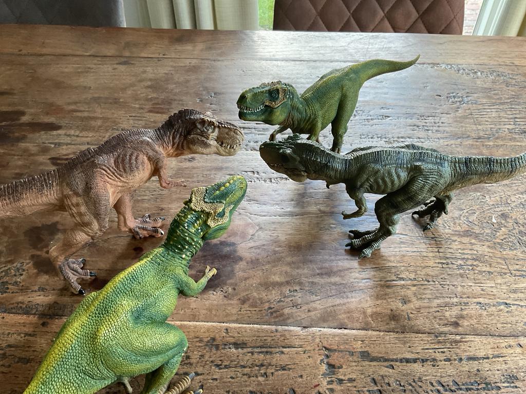 Schleich en Papo Dinosaurussen Speelfiguren, Ophalen of Verzenden, Paard, Beeldje of Figuurtje