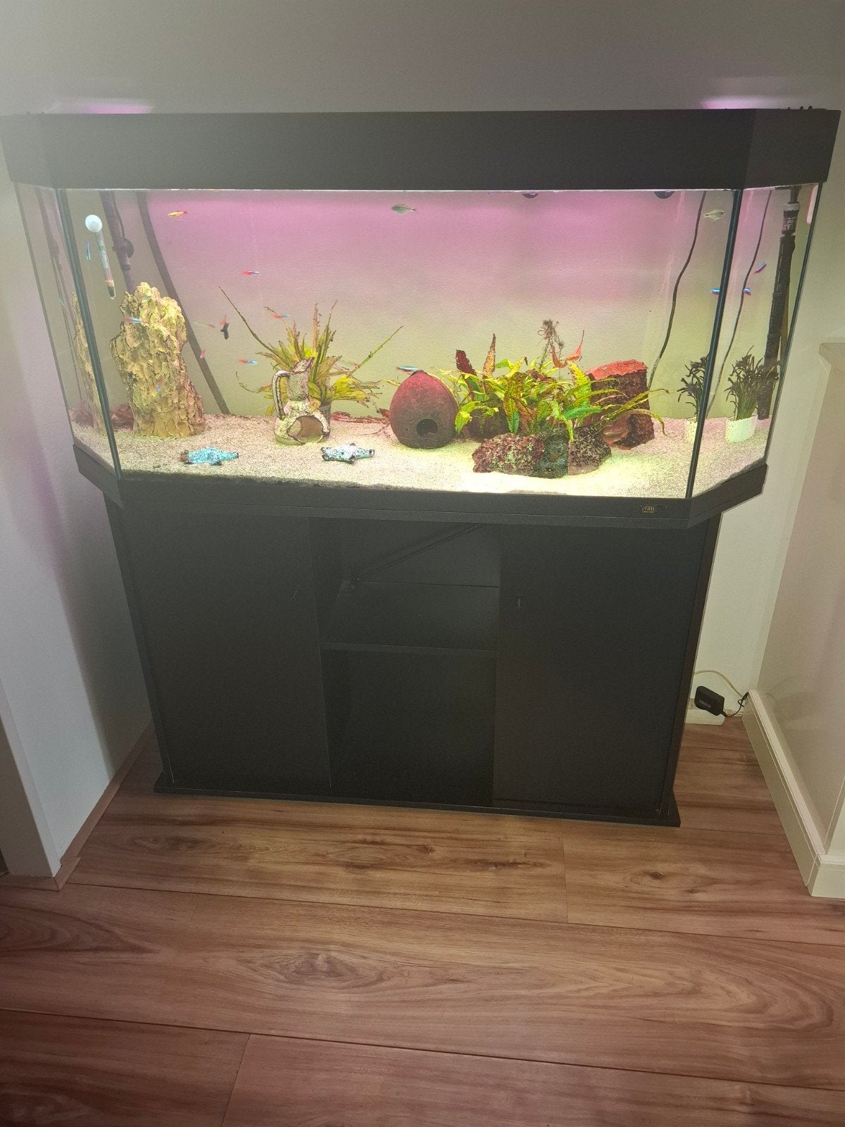 aquarium, Ophalen, Gebruikt, Gevuld zoetwateraquarium, Juwel