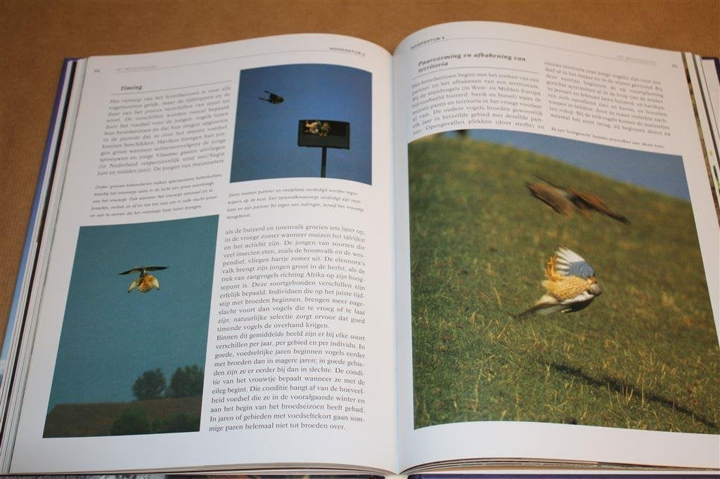 Roofvogels & uilen. Hun leefwijze, voedsel en jachtmethoden., Ophalen of Verzenden, Zo goed als nieuw