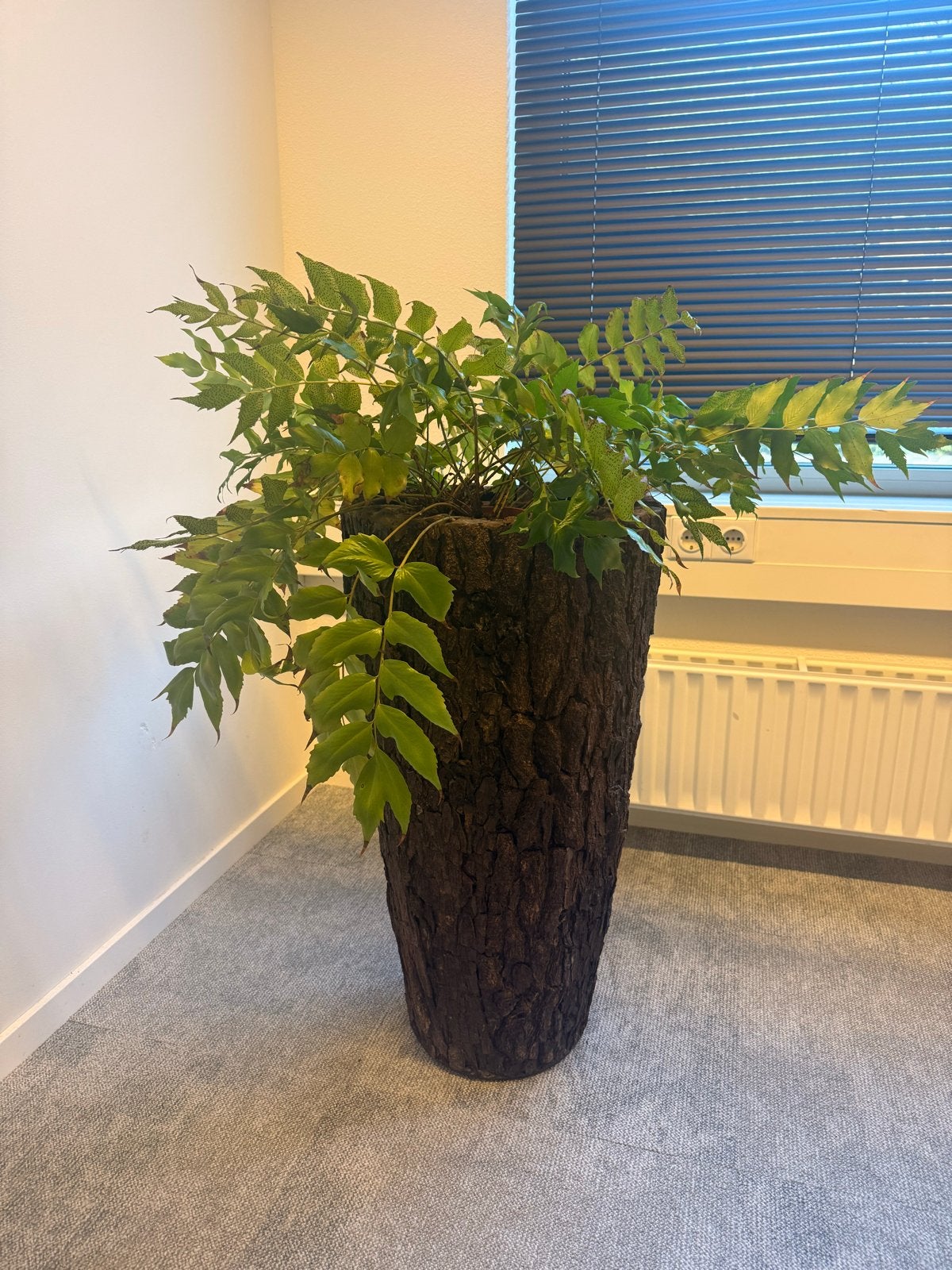 Set van 3 grote potten, incl. planten, Huis en Inrichting, Ophalen, Gebruikt, Bruin, Natuurlijk materiaal