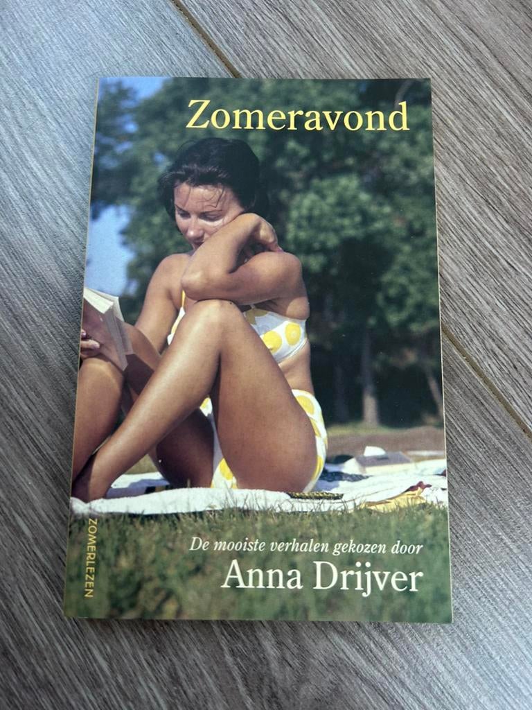 Zomeravond - Anna Drijver, Ophalen of Verzenden, Zo goed als nieuw