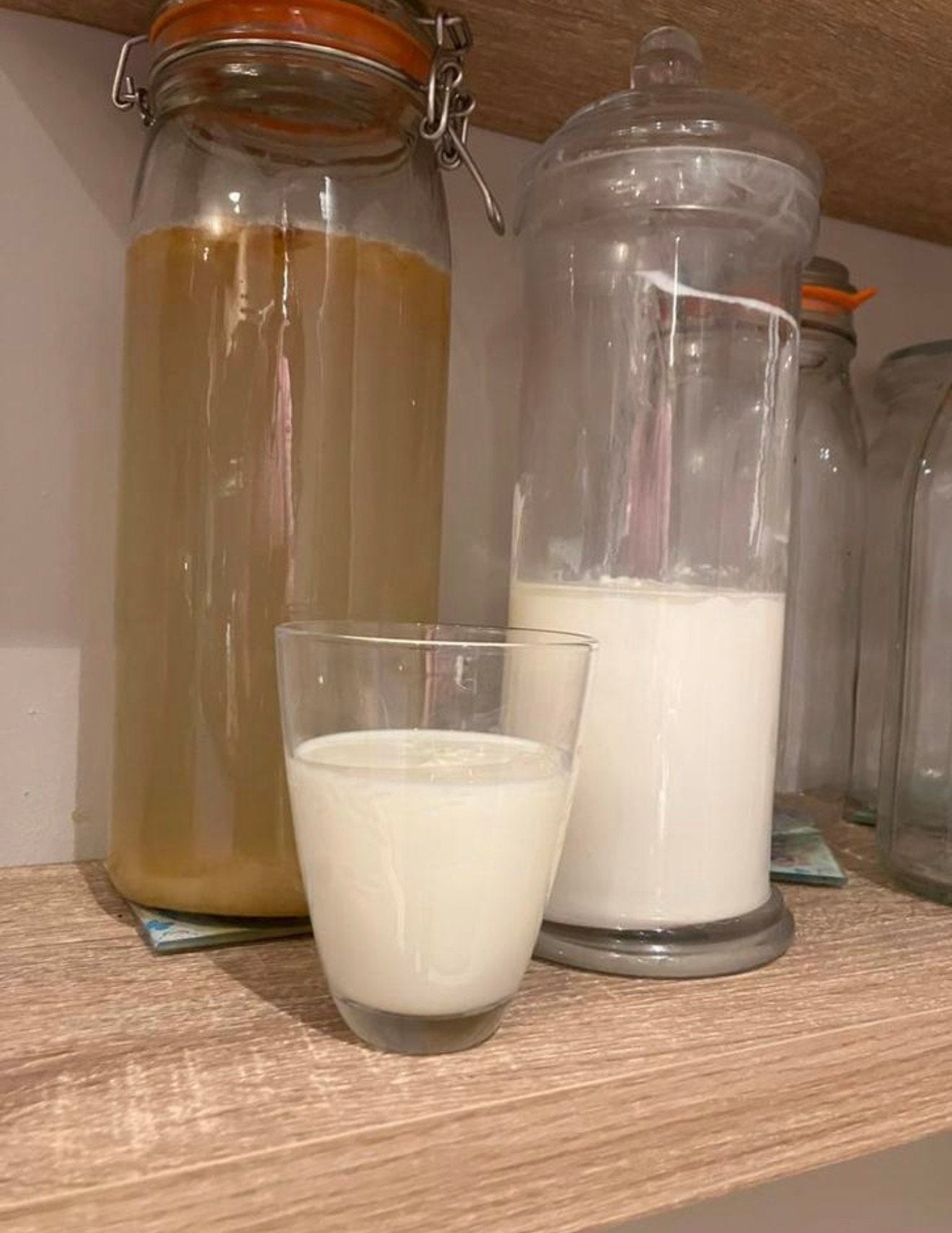 Kefir, melkkefir, kombucha scoby, waterkefir, Diversen, Levensmiddelen, Ophalen of Verzenden