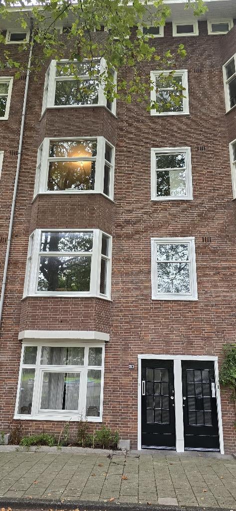 Goedkoopste professionele schilder, Ophalen of Verzenden, Zo goed als nieuw, Overige typen