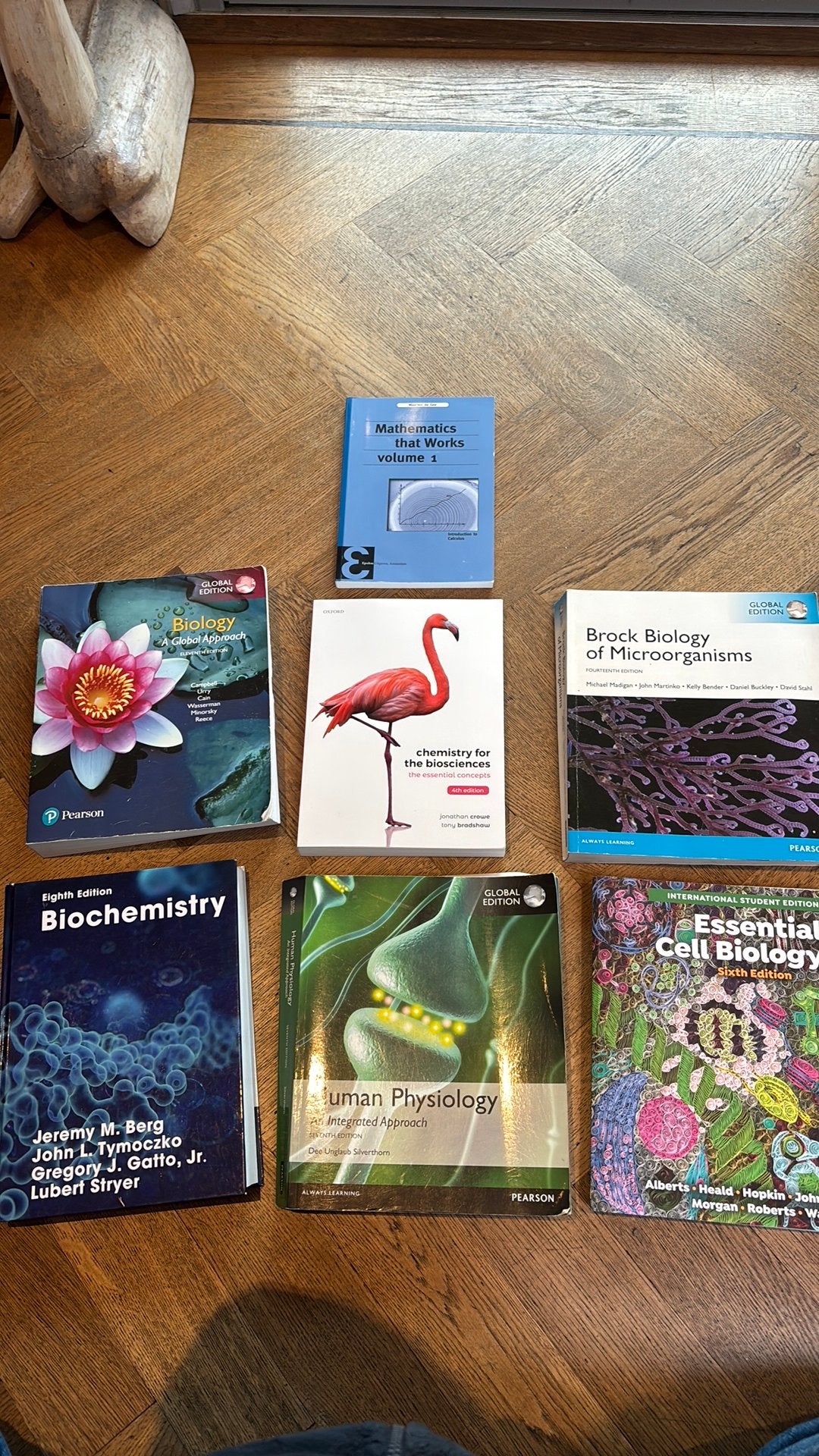 Schoolboeken eerste jaar biologie aan de universiteit, Boeken, Verzenden, Zo goed als nieuw, Overige niveaus, Biologie