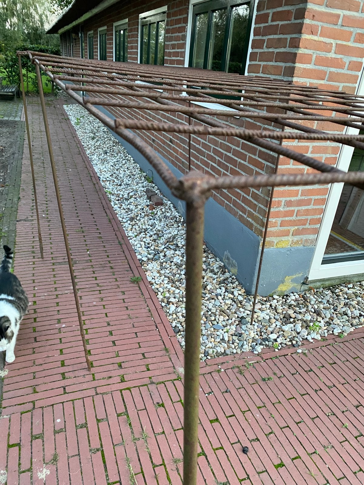 Metalen plantensteunen, diverse maten, Ophalen, Gebruikt