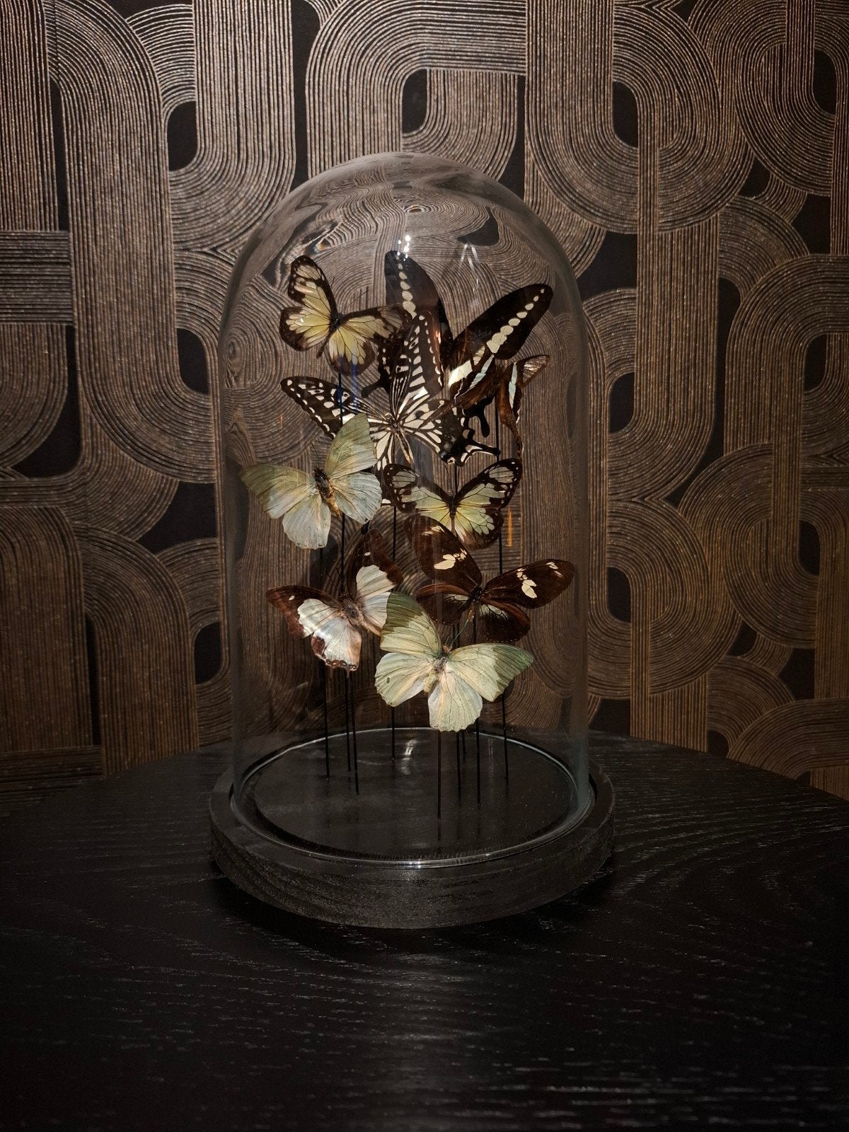 Unieke handgemaakte stolp met echte vlinders - 27x17cm, Ophalen, Meerkleurig, Overige stijlen, Nieuw