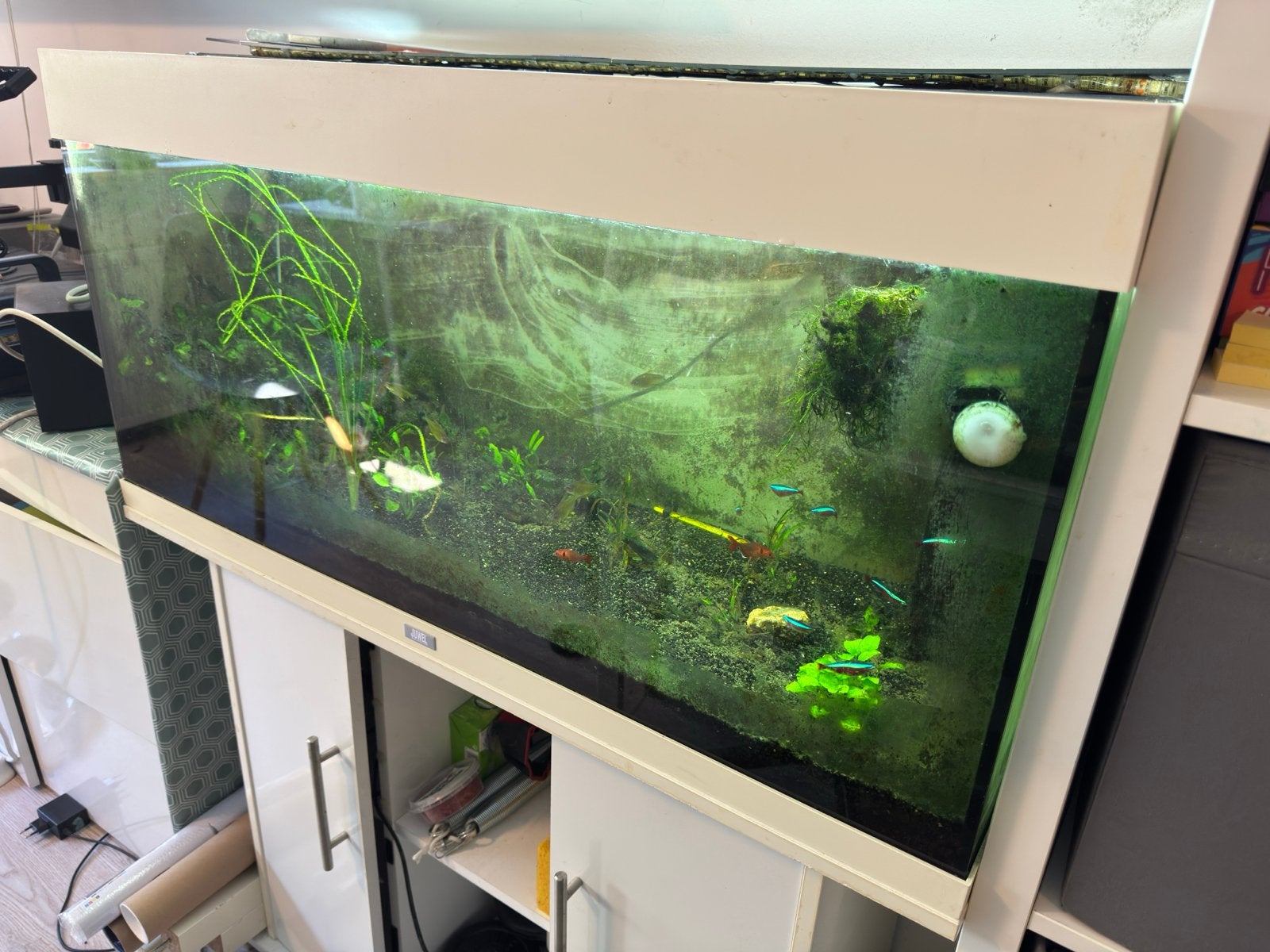 Aquarium juwel 180, Dieren en Toebehoren, Vissen | Aquaria en Toebehoren, Ophalen, Gevuld zoetwateraquarium, Juwel, Inclusief vissen
