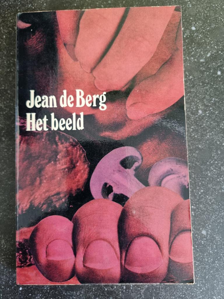 Jean de Berg - Het beeld (1969, De Bezige Bij), Ophalen of Verzenden, Gelezen, Jean de Berg, Nederland