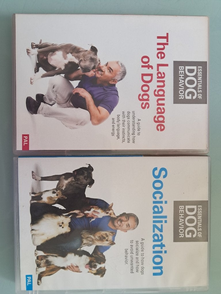 Cesar Millan DVD's: The Language of Dogs & Socialization, Honden, Zo goed als nieuw, Cesar Millan, Ophalen of Verzenden