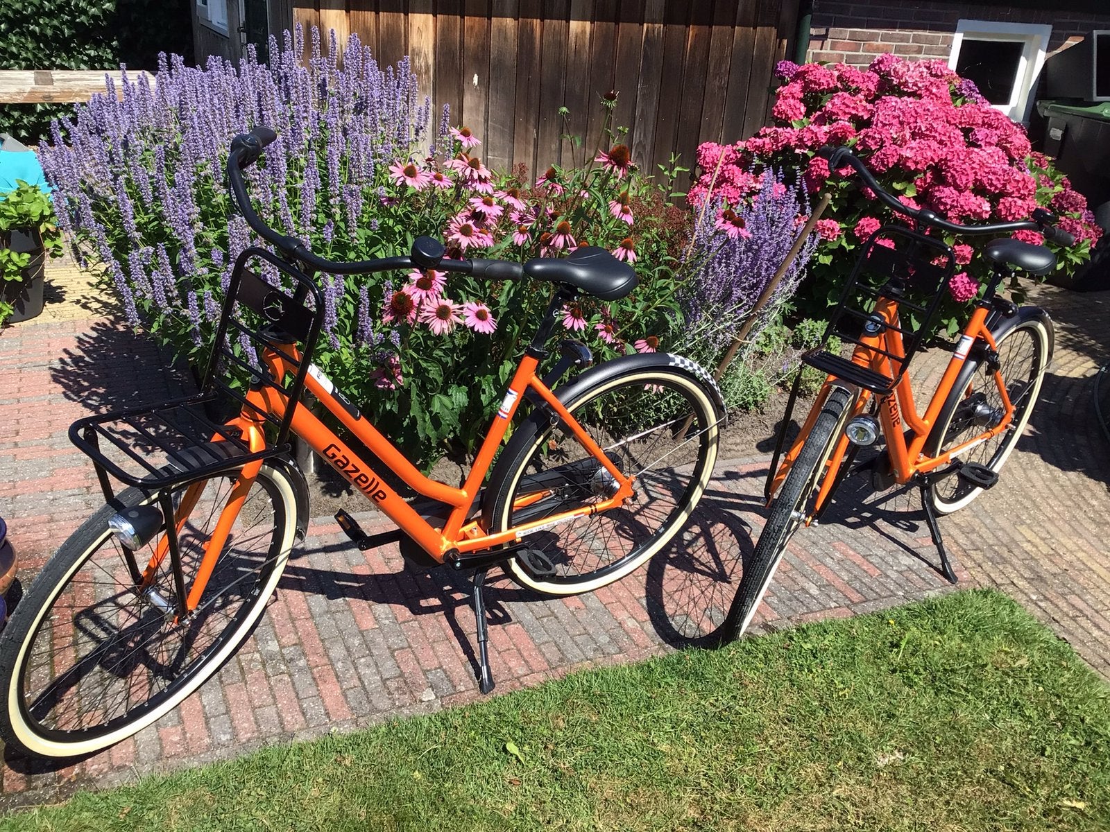 Gazelle fiets 1x gebruikt circuit zandvoort F1 uitvoering 7V, Ophalen, Terugtraprem, Versnellingen, Zo goed als nieuw