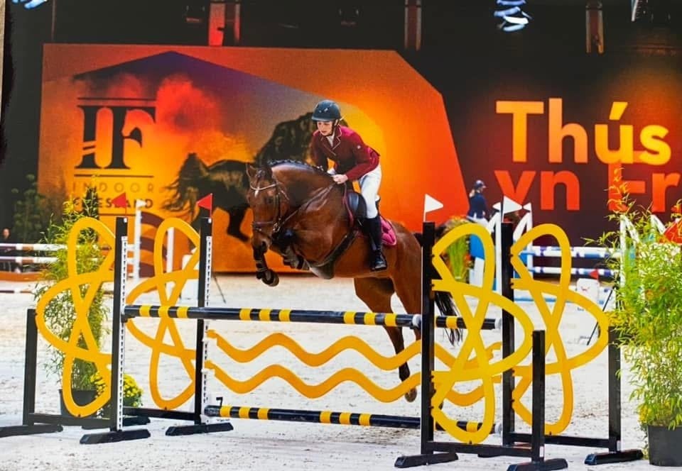Allround KWPN ruin (v. eldorado vd zeshoek), Dieren en Toebehoren, Springpaard, Met stamboom, Ruin, L