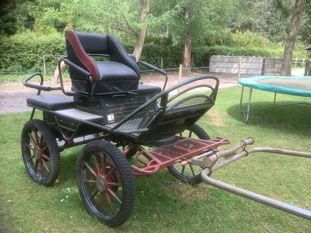 Marathon wagen te koop, Gebruikt, Marathonwagen, Paard