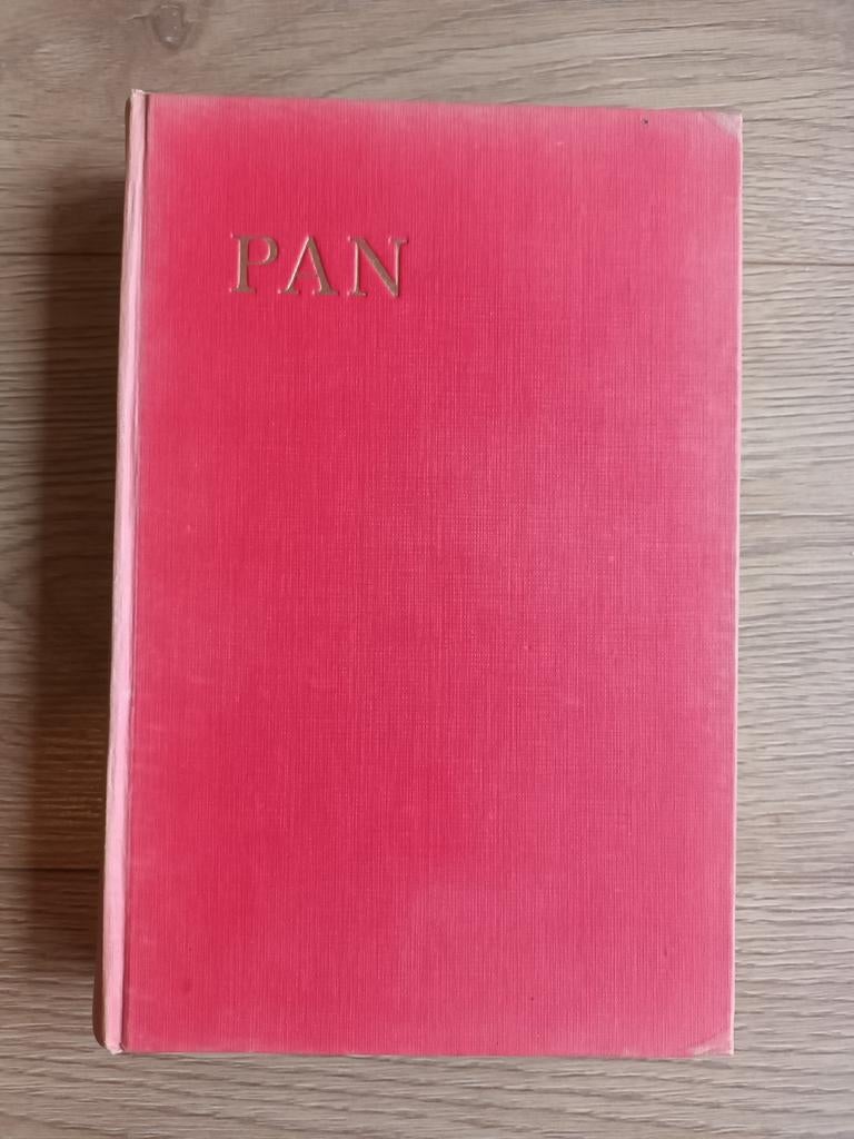 PAN - Herman Gorter - 1916 - Tweede druk, Ophalen of Verzenden