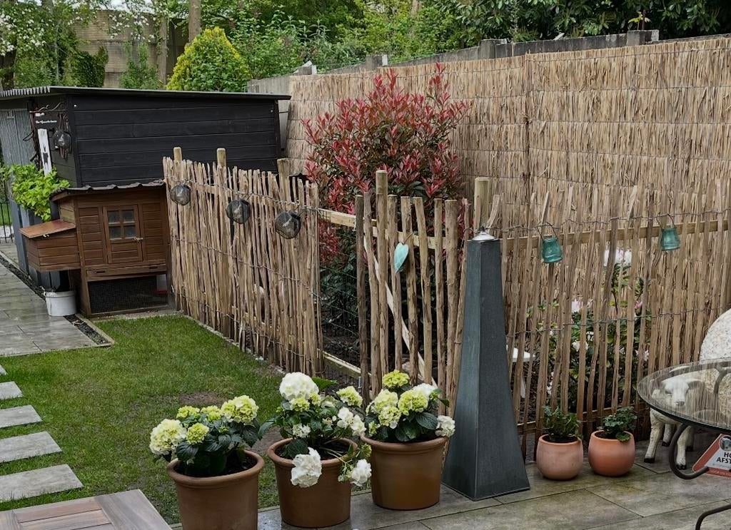 Kippenhok en schapenomheining ( ongeveer 5 meter incl.hek, Ophalen, Gelezen, Pluimvee