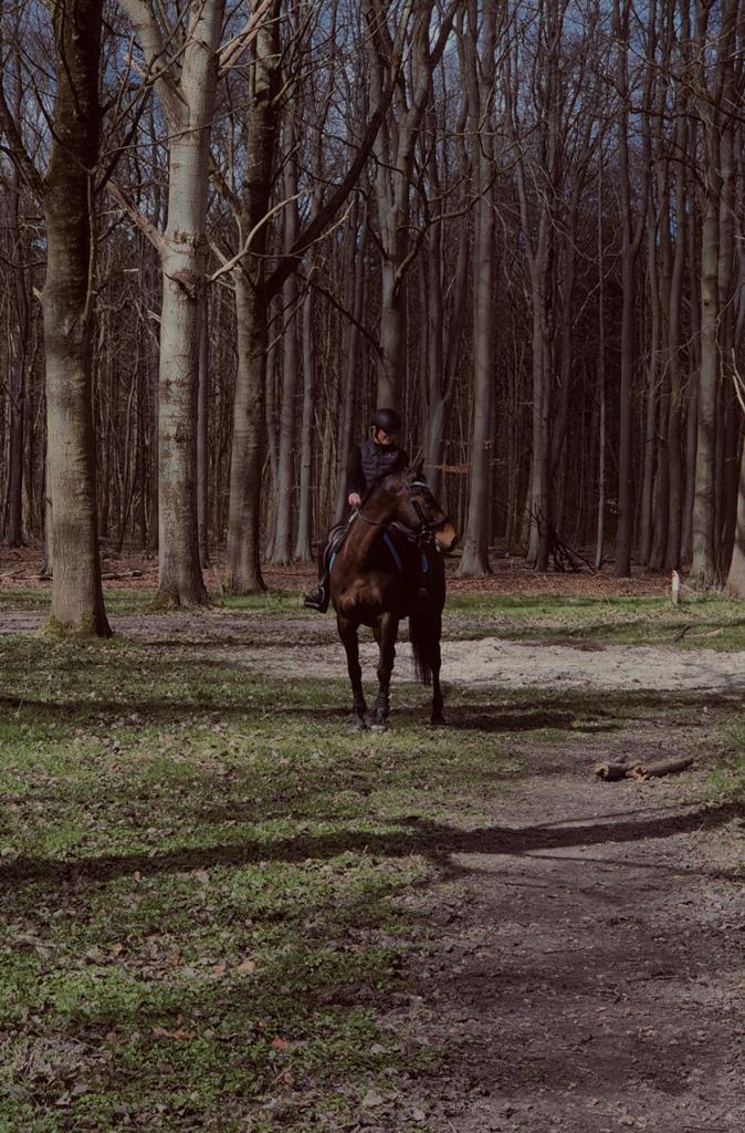 Bijrijder/verzorgster aangeboden, Dieren en Toebehoren, Paarden en Pony's | Overige Paardenspullen, Ophalen of Verzenden, Nieuw