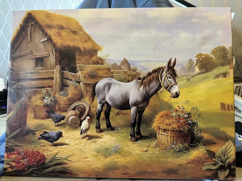 Schilderij oude schuur met ezel, Ophalen of Verzenden