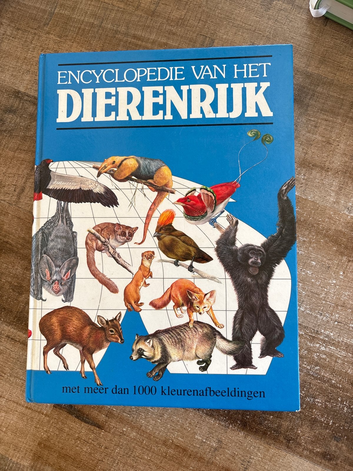 Encyclopedie van het Dierenrijk - Meer dan 1000 afbeeldingen, Boeken, Ophalen of Verzenden, Gelezen, Dieren, Los deel