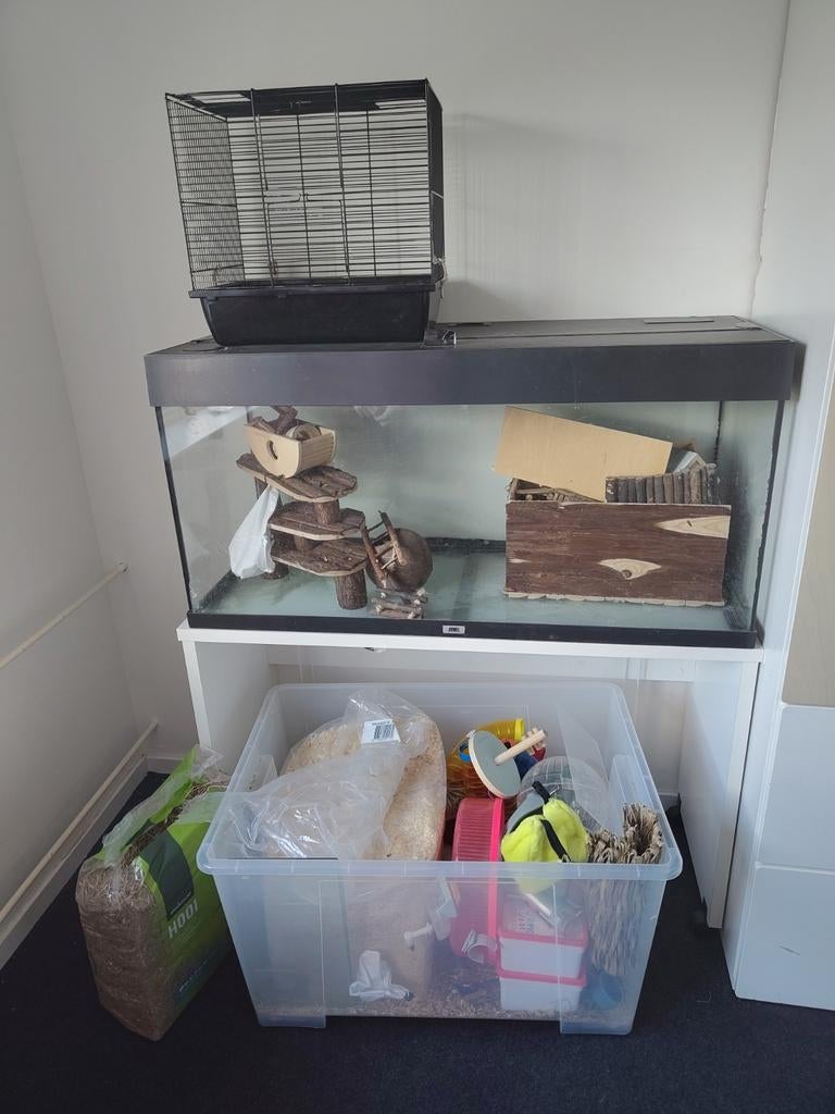 Koopje! Knaagdieren hok met veel toebehoren, Dieren en Toebehoren, Knaagdieren en Konijnen | Hokken en Kooien, Hamster, Gebruikt
