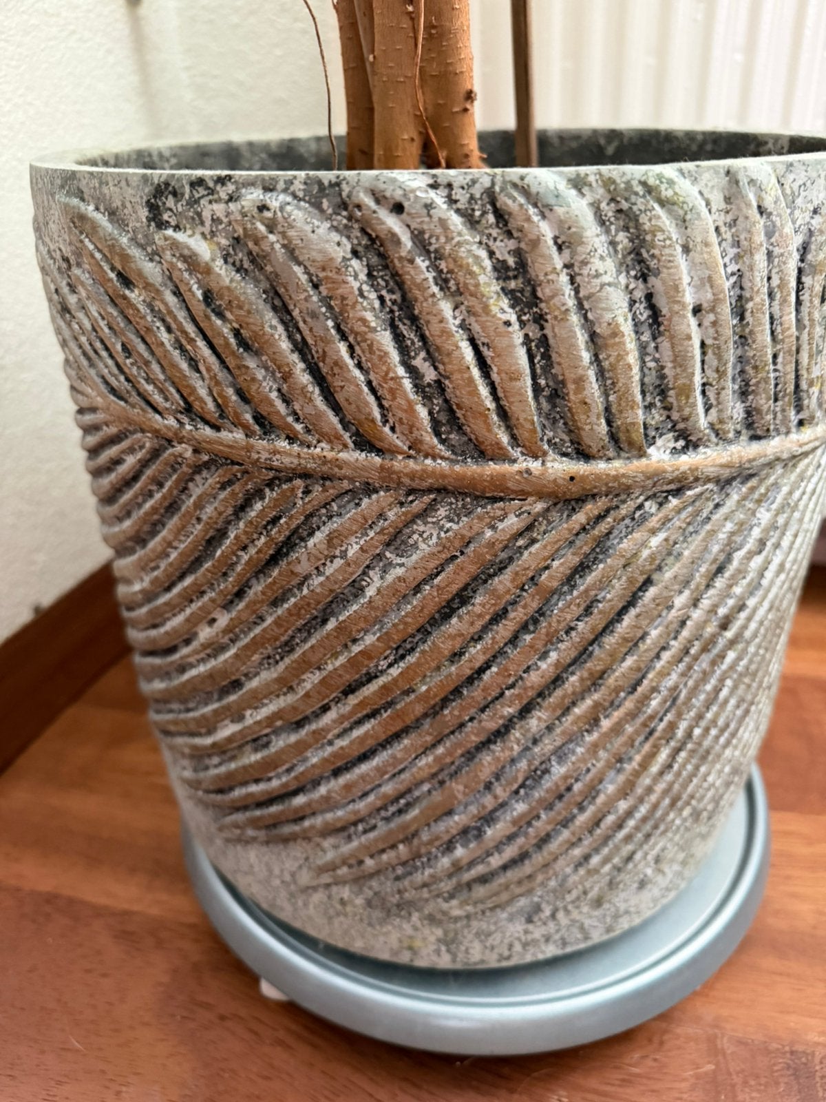 Plantenpot (groot, 40x40 cm) PTMD, Ophalen, Halfschaduw, Minder dan 100 cm