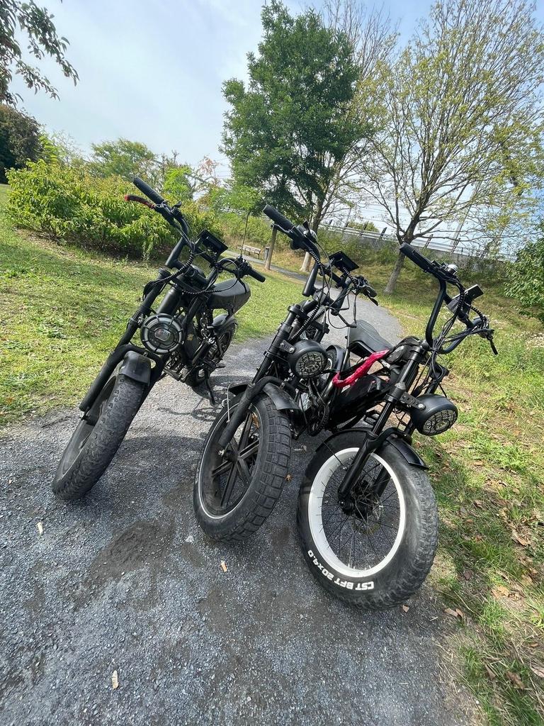 Custom made H9 Fatbike - 1000W motor, middenvering, 2 accu's, Fietsen en Brommers, Elektrische fietsen, 51 tot 55 cm, Ophalen of Verzenden