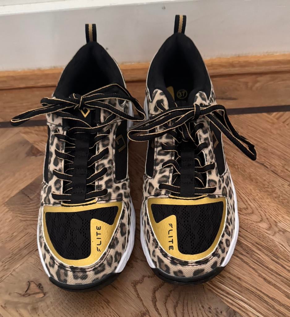 Nieuwe hockeyschoenen (Brabo, maat 37) & scheenbeschermers, Ophalen, Nieuw, Schoenen
