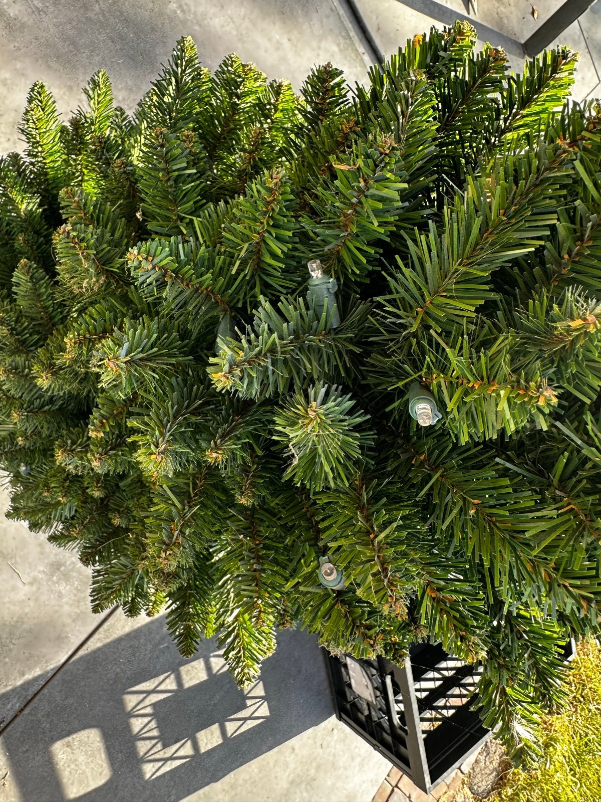 Kerstboom inclusief pot, Ophalen