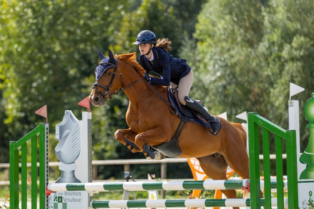 5 jarige E pony, Dieren en Toebehoren, Met stamboom, Springpony, 3 tot 6 jaar, L