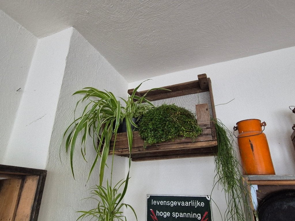 Bloembollenkist wandhanger bieden v.a. €24,99, Ophalen of Verzenden, Zo goed als nieuw