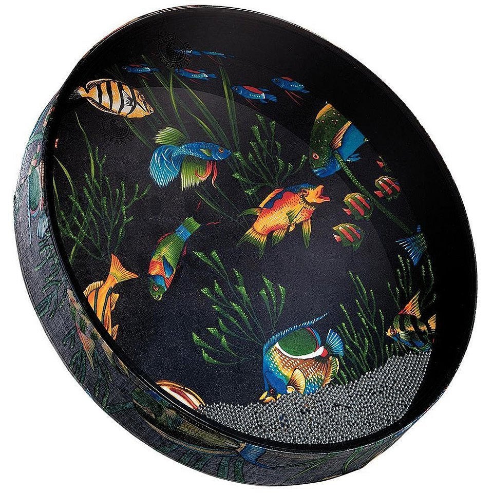 Remo ET-0216-10 Ocean Drum 16” x 2.5” Aquarium-PRINT, Muziek en Instrumenten, Percussie, Ophalen of Verzenden, Nieuw, Trommel