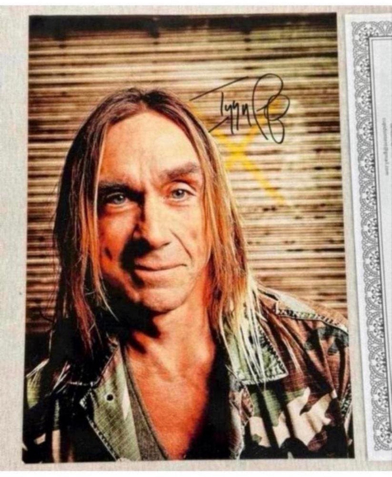 Iggy Pop - Foto gesigneerd Echte handtekening + Certificaat, Hb, Nieuw, Ophalen of Verzenden, Foto of Kaart