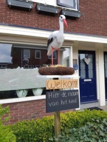 Ooievaarsnest met ei en ooievaar te huur!, Kinderen en Baby's, Kraamcadeaus en Geboorteborden, Ophalen
