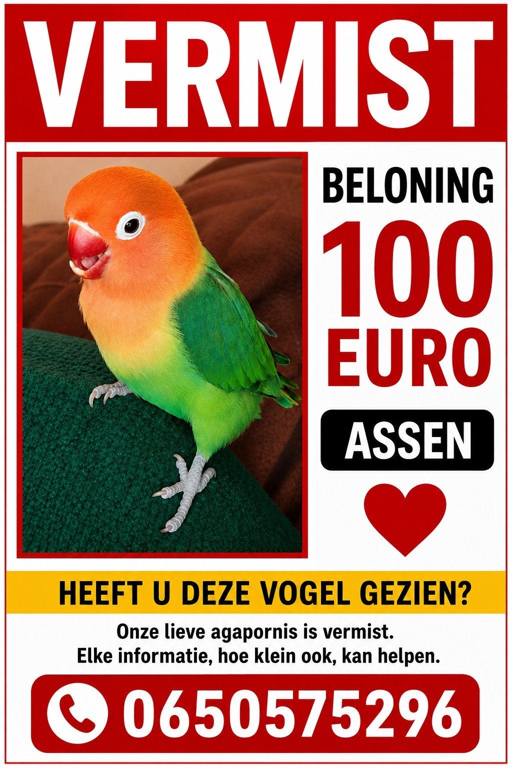 vermist agapornis lovebird dwergpapagaai, Vogel