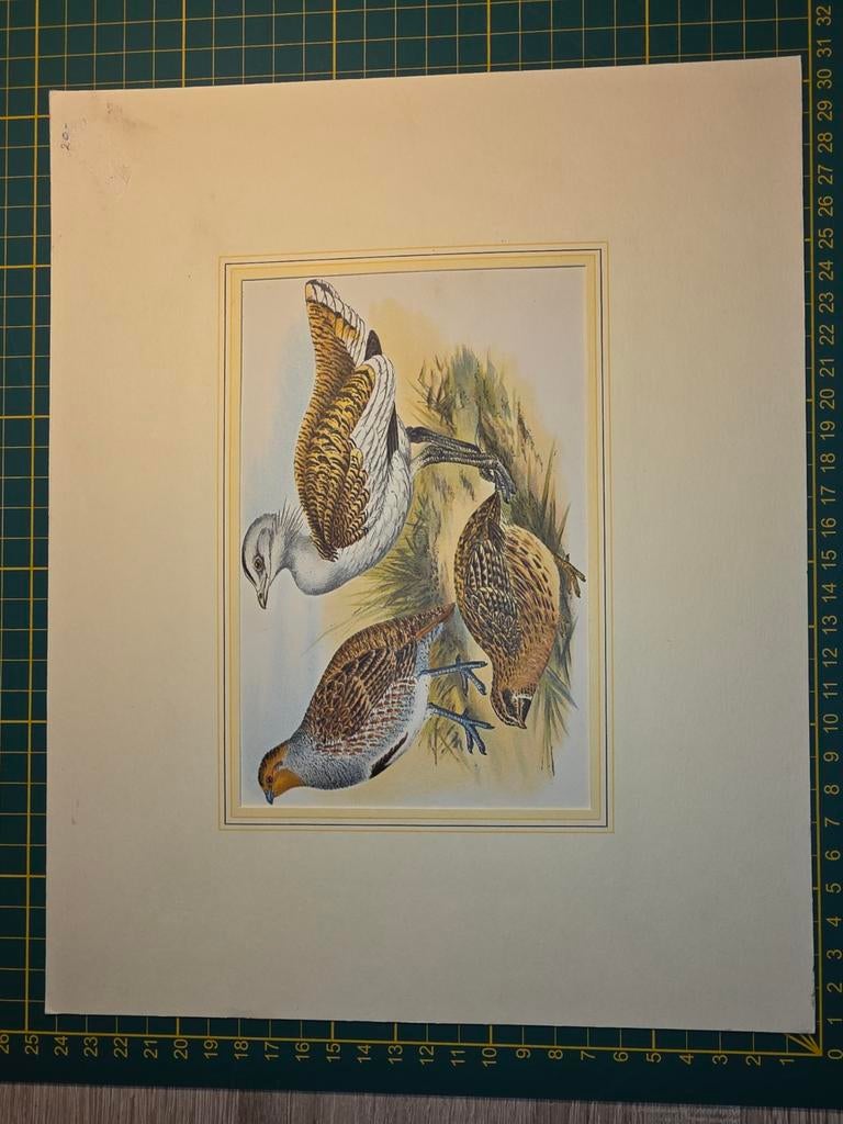 Steendruk, Antiek en Kunst, Ophalen of Verzenden