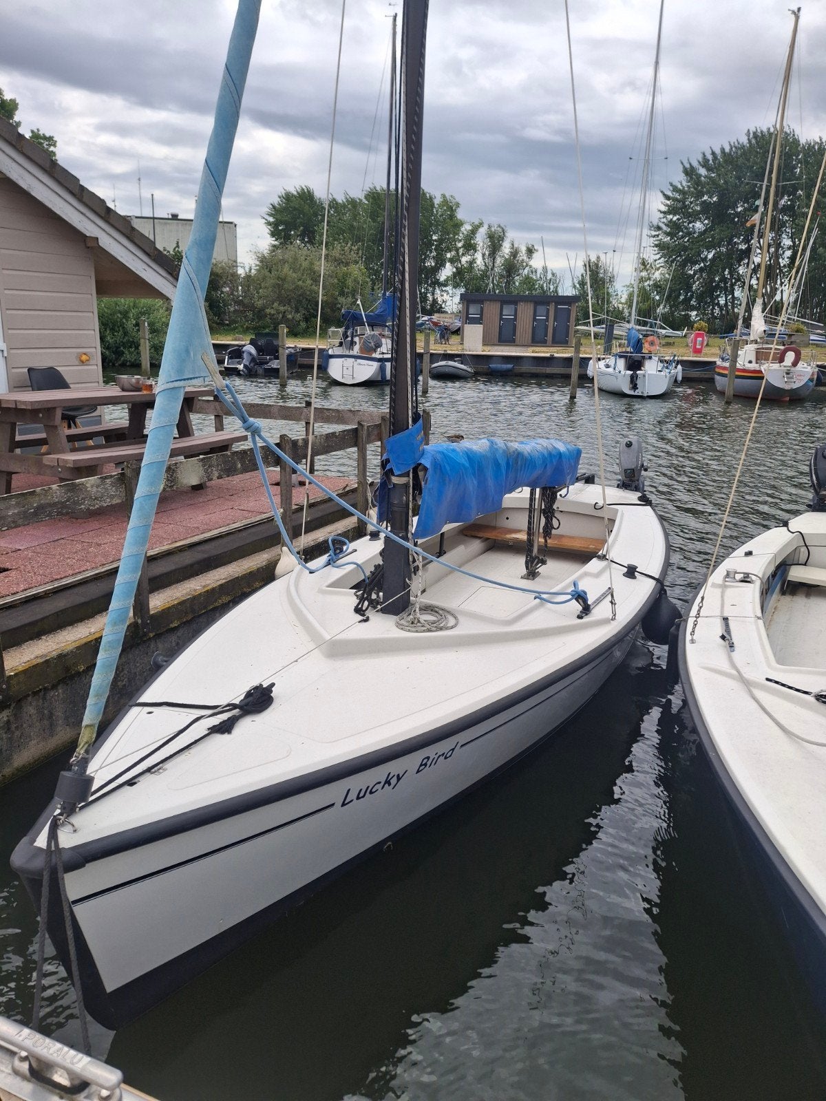 Diverse Polyvalken te koop, Ophalen, Gebruikt, Polyester, Benzine