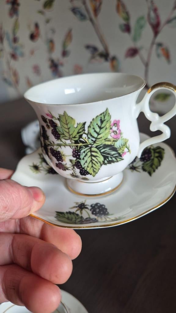 Sierkopjes Balmoral Castle &Servies Bergamo uit Nalatenschap, Ophalen