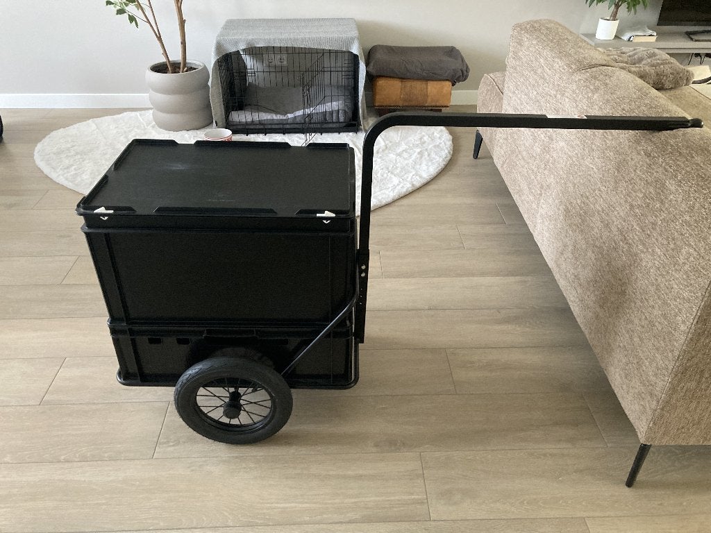 Roland Mini Boy fietskar / bagagekar – 2 bakken + deksel, Fietsen en Brommers, Ophalen of Verzenden, Zo goed als nieuw, Roland