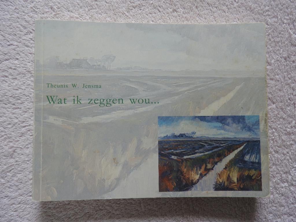 Belevenissen van een buitenstaander - Hogebeintum, Ophalen of Verzenden, Zo goed als nieuw