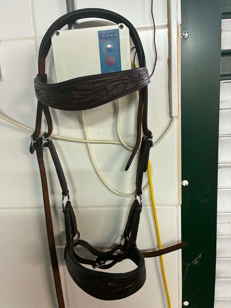 halsters en bitloos hoofdstel, Dieren en Toebehoren, Hoofdstel, Bruin, Nieuw, Ophalen of Verzenden