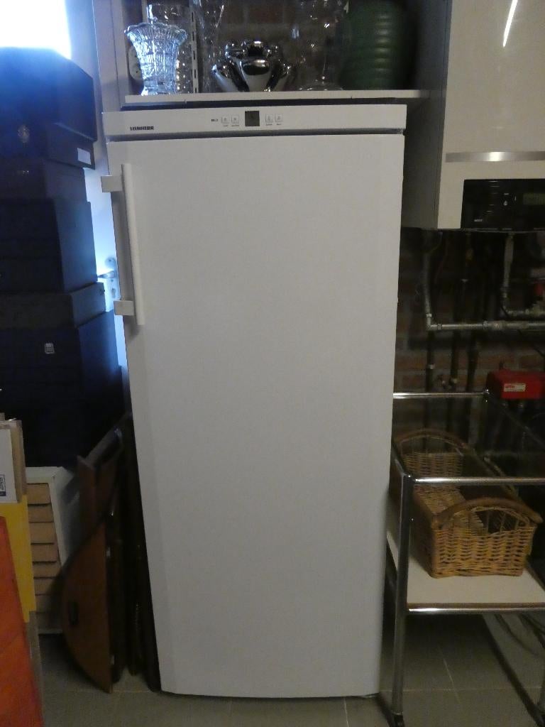 diepvrieskast, Witgoed en Apparatuur, Gebruikt, Energieklasse A of zuiniger, 140 tot 160 cm, Ophalen