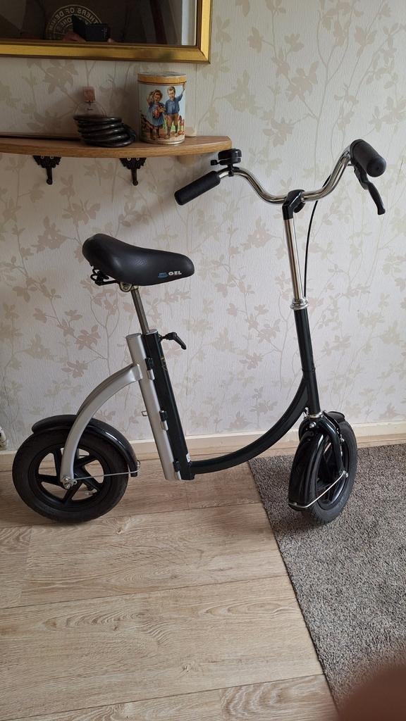 Loopfiets van Raam, Ophalen, Zo goed als nieuw, Overige typen