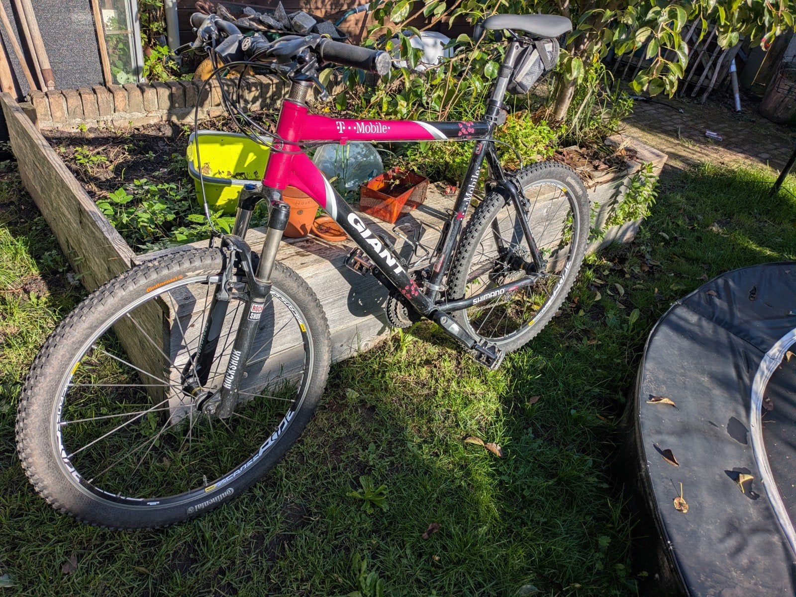 Giant (maat XL), Ophalen, Velgrem, Aluminium, Giant