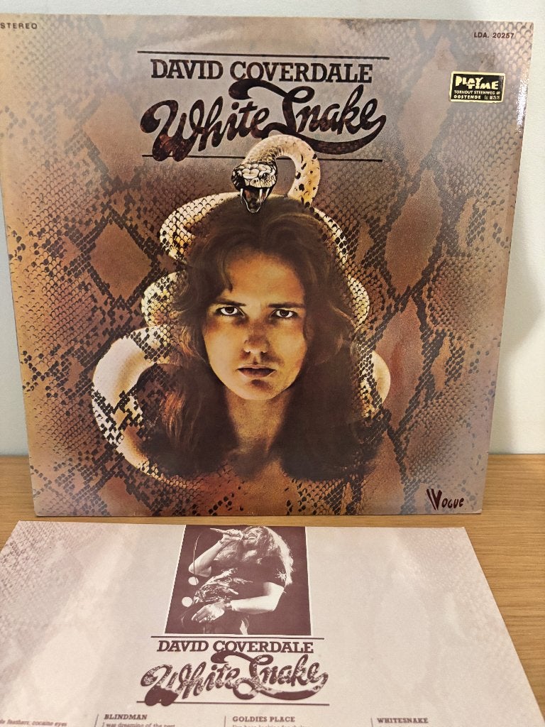LP - David Coverdale - Whitesnake, LP, Gebruikt, Ophalen of Verzenden, Hardrock