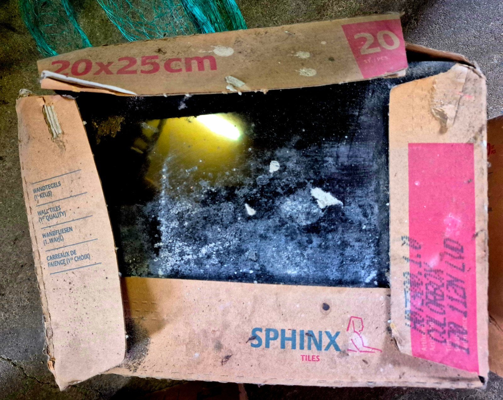Sphinx Wandtegels 20x25cm - Nieuw in doos, Nieuw, Ophalen of Verzenden, 20 tot 40 cm, Minder dan 5 m²