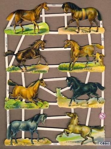Paardenrassen o.a. Russian Poëzieplaatjes 7262, Ophalen of Verzenden