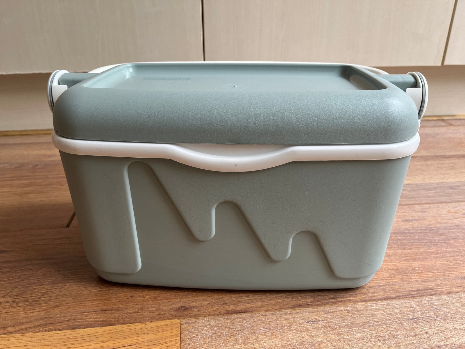 Koelbox 10 liter, Ophalen of Verzenden, Gebruikt, Koelbox, Koelelement