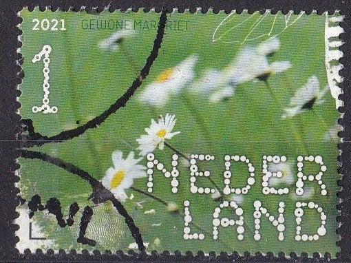 BDN – De Onlanden – gewone margriet – gebruikt – NVPH 3916, Postzegels en Munten, Verzenden, Gestempeld