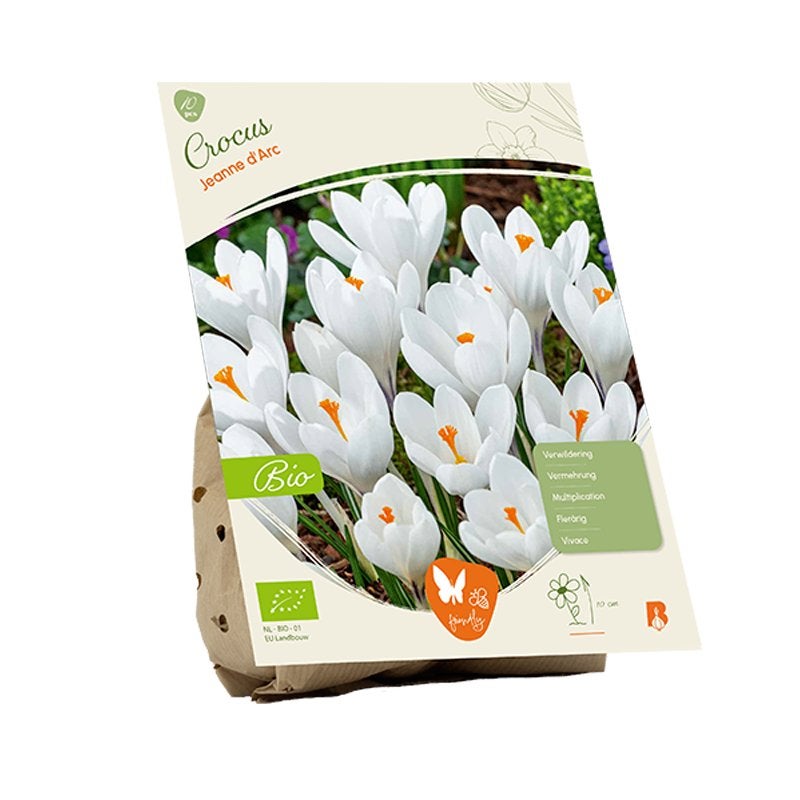 Krokus (Crocus ‘Jeanne D’Arc’) BIOLOGISCH, Tuin en Terras, Ophalen of Verzenden, Najaar, Volle zon, Bloembol